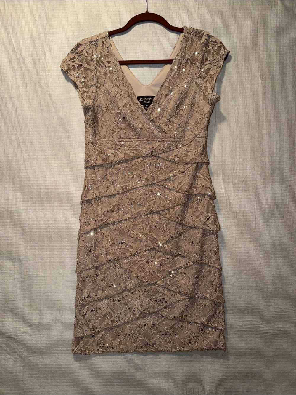 Sandra Darren Beige Lace Sequin Wrap-Style Dress